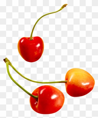 Cherry Png Image - Желтая Черешня Пнг Clipart