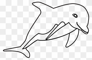 Dolphin Clipart Black And White Png Transparent Png