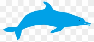 Dolphin Refixed - Clip Art - Png Download