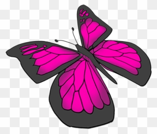 Drawing Of Butterfly Png Clipart