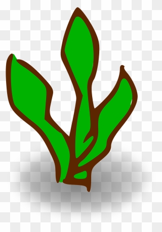 Kelp Clipart - Png Download
