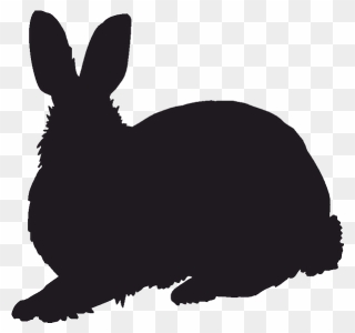 Domestic Rabbit Silhouette Hare Stencil - Silhouette Transparent Rabbit Png Clipart