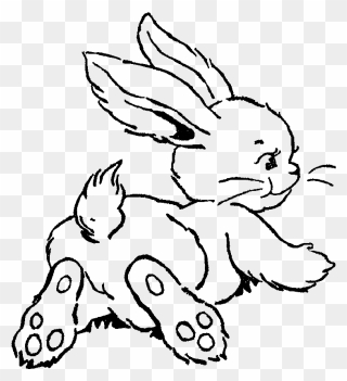 Transparent Bunny Clipart Black And White - Drawing Easter Bunny Art - Png Download