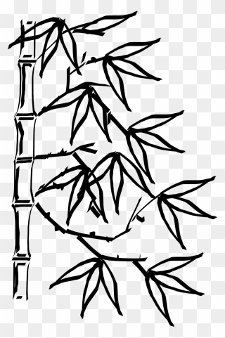 Bamboo Black And White Clipart - Png Download