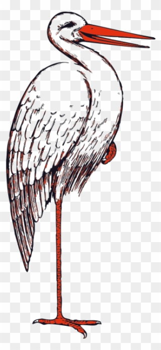 Stork Bird Png Icons - Stork Clip Art Transparent Png
