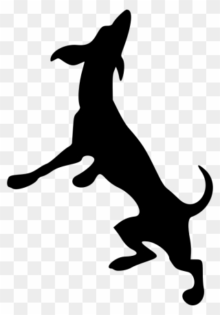 Dobermann Greyhound Scotch Collie Clip Art - Horse Rearing Silhouette - Png Download