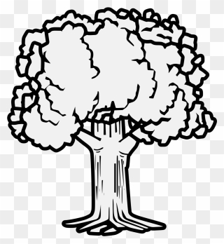 Traceable Trees Clipart