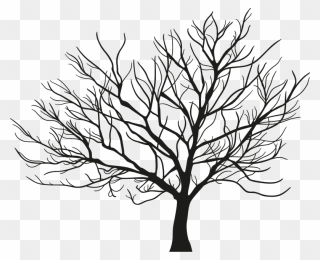 Tree Branch Winter - Arbol Sin Hojas Dibujo Clipart