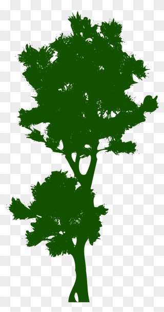 Tree Public Domain Clip Art - Pohon Tinggi Vektor - Png Download