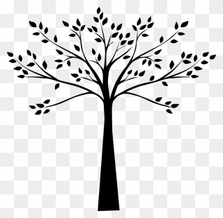 Tree Black And White Drawing Plum - Tree Drawing Images Png Clipart