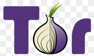 Experimental Voip And Messaging Via Tor Hidden Services - Tor Onion Clipart