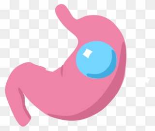 Gastric Balloon Wikipedia Iconsvg - Transparent Stomach Png Clipart