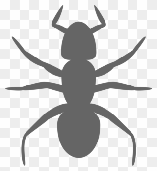 Ant Insect Silhouette Art Drawing - Ant Clip Art - Png Download