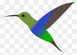Clip Art Freeuse Stock Silhouette Hummingbird At Getdrawings - Beija Flor Colorido Em Desenho - Png Download