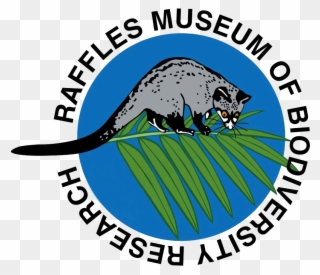 Force Office Of Scientific Research - Possum Clipart