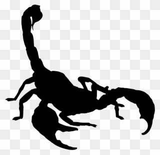Scorpion Drawing Arachnid - Scorpion Silhouette Png Clipart