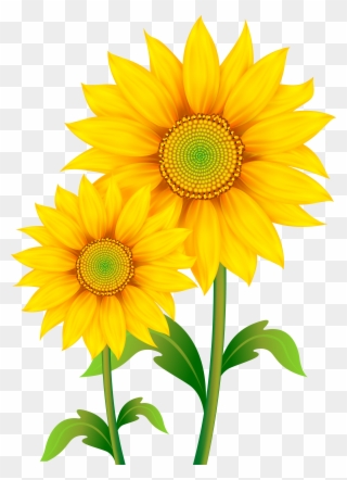 Transparent Png Image Gallery Picture Black And White - Transparent Background Sunflower Clipart