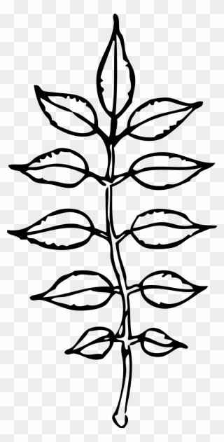 Leaves Black And White Pile Leaves Clip Art Black And - Clip Art - Png Download