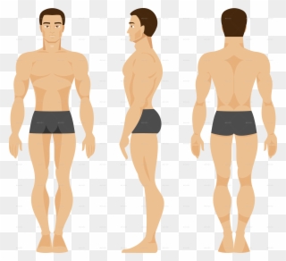 Male By Artbesouro Graphicriver - Man Front Rear Clipart