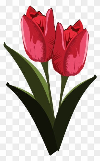 Tulip Free To Use Clip Art - Tulips Flower Clip Art - Png Download