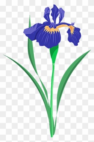 Grab This Free Summer Flower Clip Art - Iris Flower Vector Free - Png Download