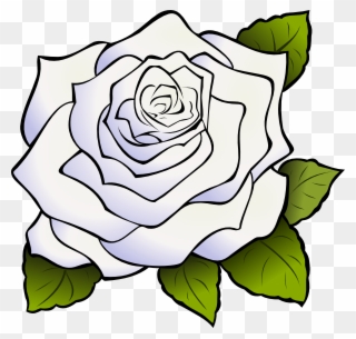 Download White Rose Png Clipart Clip Art Drawing Flower - White Rose Clip Art Transparent Png