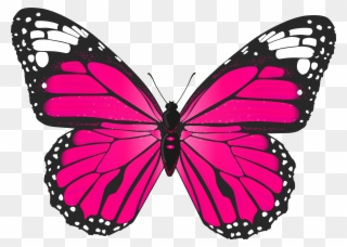Butterfly Clip Art - Pink Butterfly Clipart Png Transparent Png