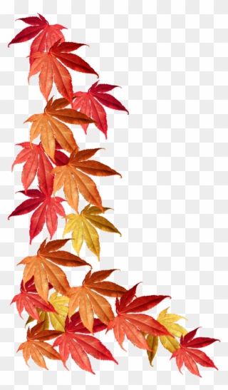 Fall Border Png - Autumn Leaves Border Clipart