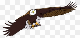 Download Flying Eagle Clipart Bald Eagle White-tailed - Flying Eagle Vector - Png Download