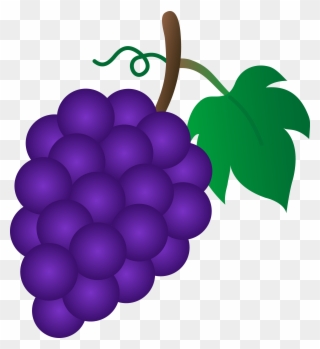 Bunch Of Purple Grapes - Grapes Clipart - Png Download