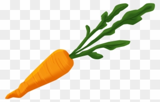Baby Carrot Clipart