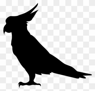 Parrot Silhouette Png Transparent Clip Art Image - Illustration
