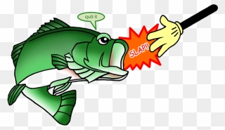 Slap - Slap The Bass Fish Clipart