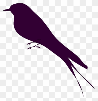 Mockingbird Small Bird On A Branch Clip Art At Vector - Bird Silhouette - Png Download