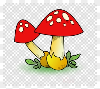Download Mushroom Clip Art Clipart Edible Mushroom - Mushroom Clip Art - Png Download