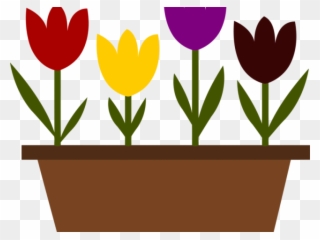 Pot Plant Clipart Tulip Plant - Draw Tulips In A Pot - Png Download