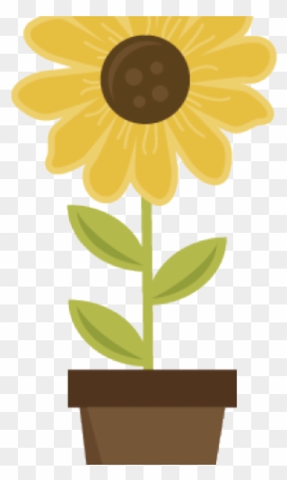 Pot Plant Clipart Sunflower Pot - Scalable Vector Graphics - Png Download