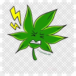 Download Hemp Clipart Skunk Cannabis Sativa Leaf Leaf - Hemp - Png Download