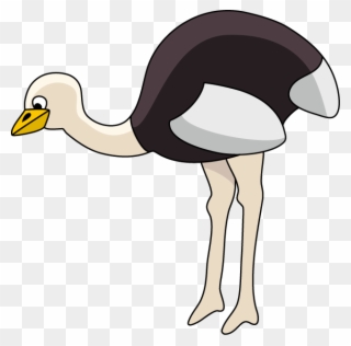 Ostrich Clipart - Common Ostrich - Png Download