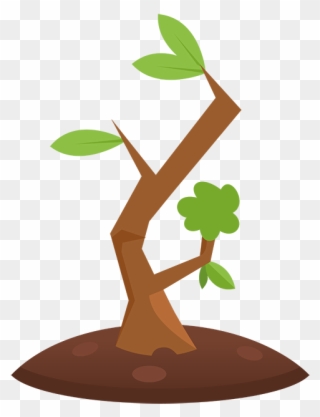 Buds Bud In Soil - Illustration Clipart