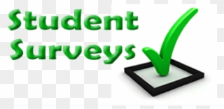 Reflection Clipart Student Survey - Student Survey - Png Download