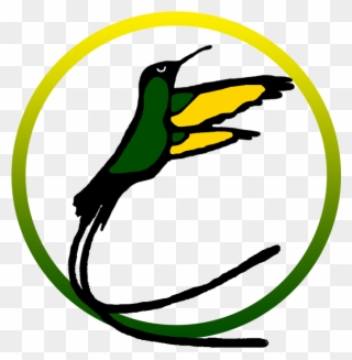 Jamaican Hummingbird Logo Clipart
