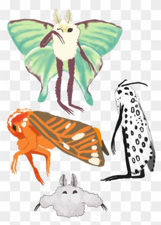 Moth Clipart Tumblr Transparent - Drawing - Png Download