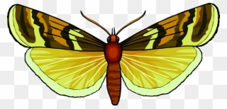 Monarch Butterfly Pieridae Brush-footed Butterflies - Butterfly Clipart