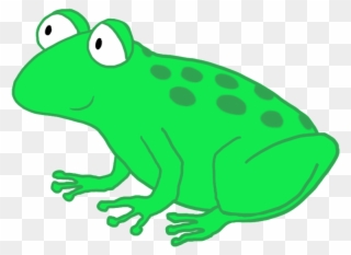 Funny Cartoon Frog Drawing, Funny And Cute Cartoon - Frog Png Clear Background Clipart