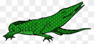 Common Iguanas Crocodiles Alligator - Crocodiles Clipart