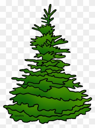 State Tree Of South Dakota - Spruce Tree Clip Art - Png Download