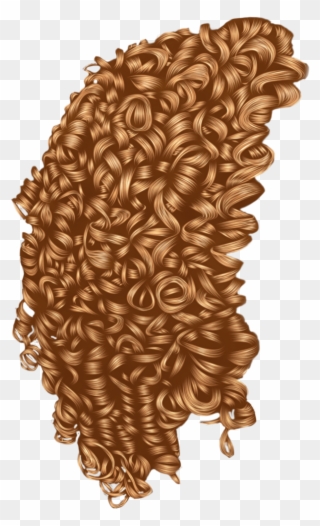 Curls Vector Curly - Drawings Of Tight Curls Clipart
