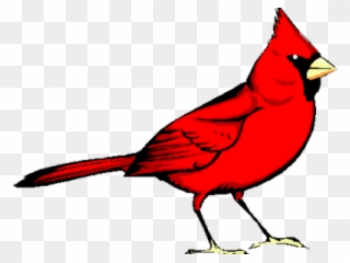 Graphic Freeuse Library Cardinal Clipart - Red Bird - Png Download