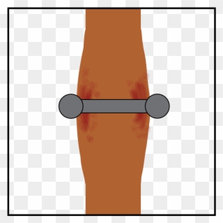 Clipart Stock Barbell Clipart Curved - Illustration - Png Download